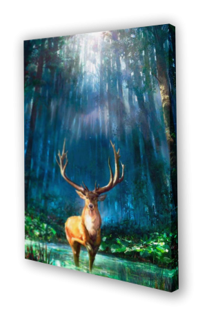 Quadros Decorativos Canvas 100% algodão 40x60 4x0  Estrutura de Madeira c/ tecido esticado 